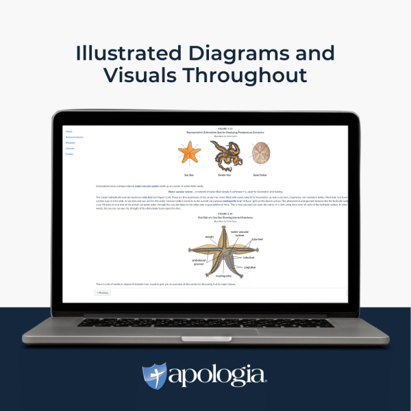 Self-Paced Online: Marine Biology - Image 3