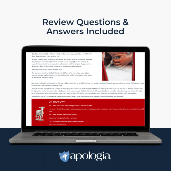 Self-Paced Online: A Peep Behind the Scenes - Image 3