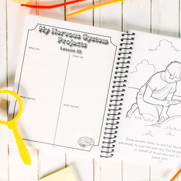 Anatomy Junior Notebooking Journal - Image 5
