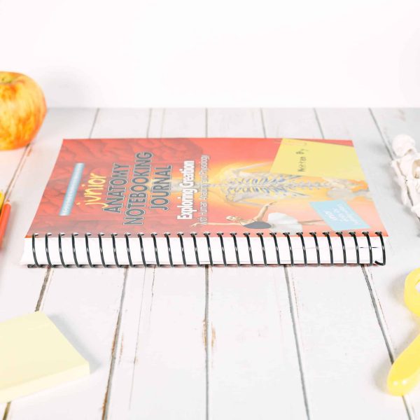 Anatomy Junior Notebooking Journal - Image 2