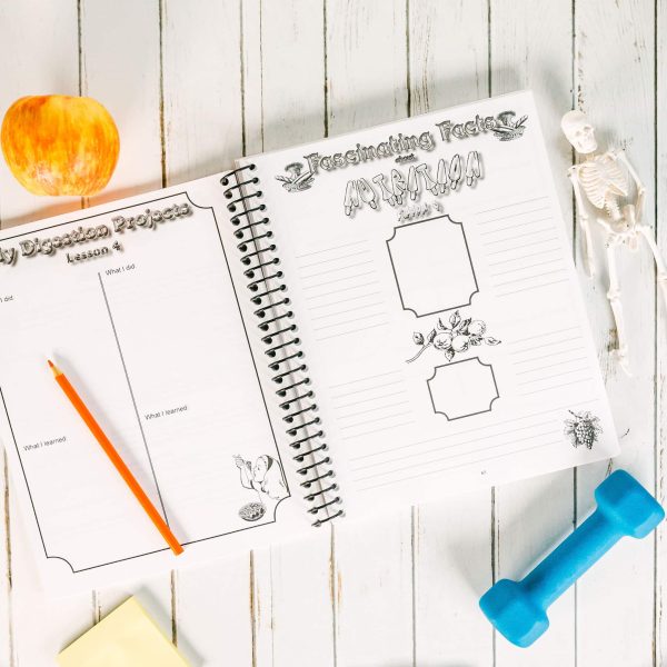 Anatomy Notebooking Journal - Image 6