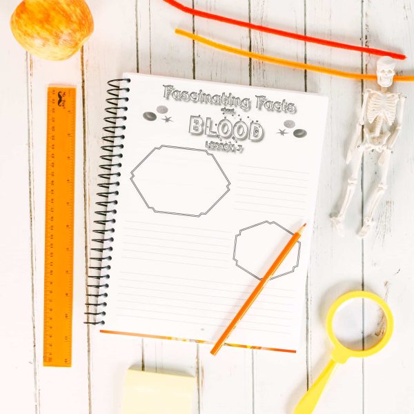 Anatomy Notebooking Journal - Image 5