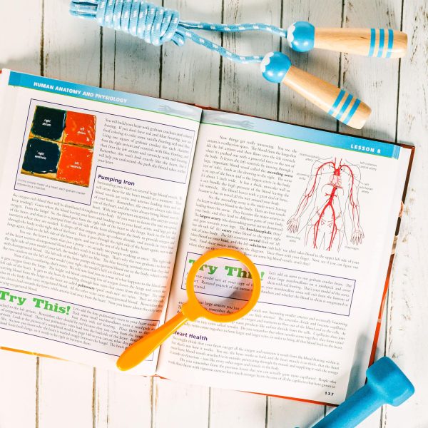 Anatomy Textbook - Image 5