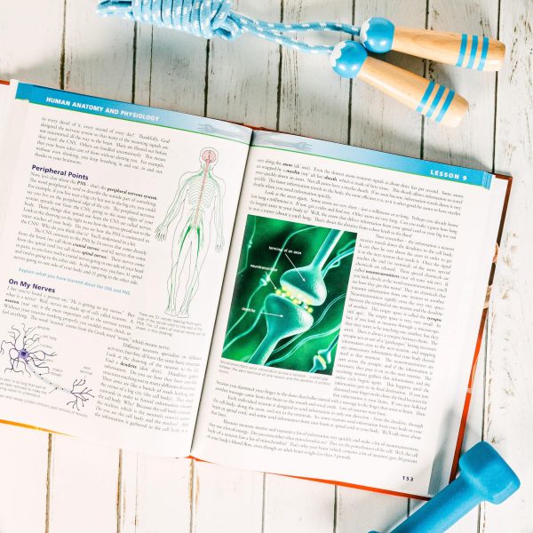 Anatomy Textbook - Image 4