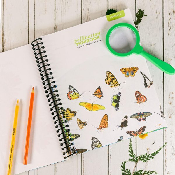 Botany Notebooking Journal - Image 6
