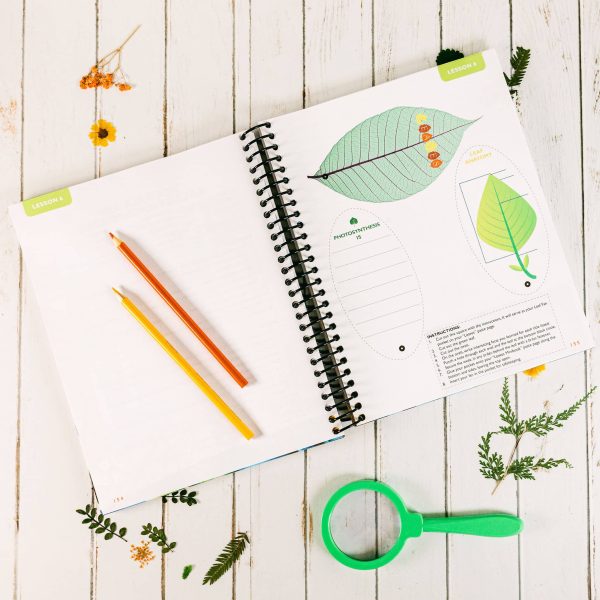 Botany Notebooking Journal - Image 4