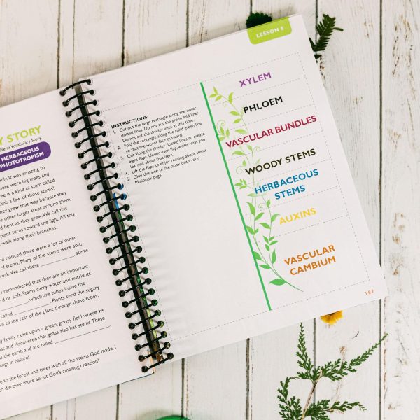 Botany Notebooking Journal - Image 3