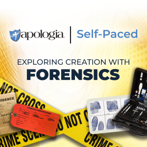 Self-Paced Forensics