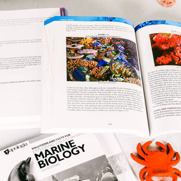 Marine Biology Build-Your-Own Set - Image 4