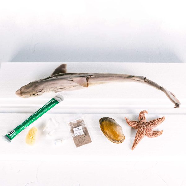 Marine Biology Build-Your-Own Set - Image 7