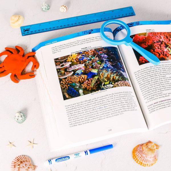 Marine Biology Textbook - Image 3