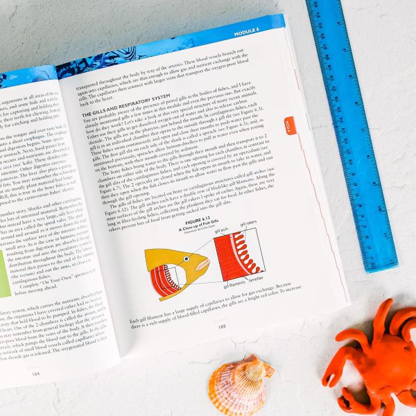 Marine Biology Textbook - Image 5
