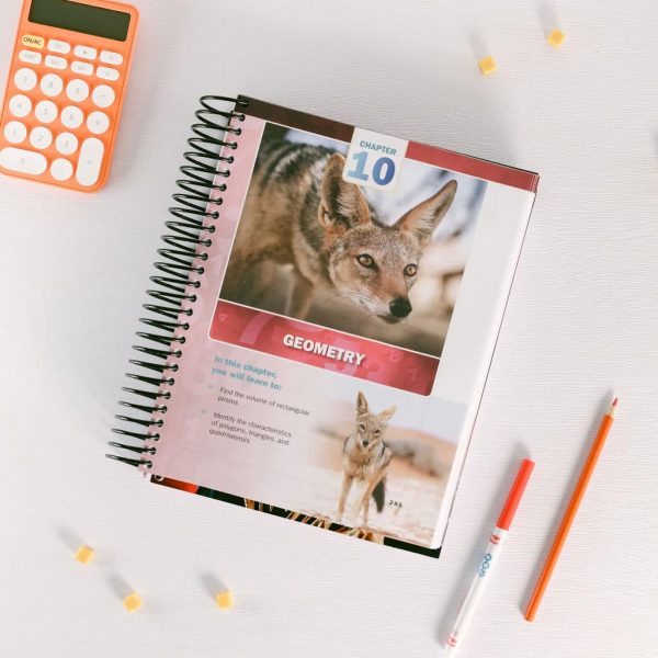 Mathematics Level 5 Student Text and Workbook - Image 5