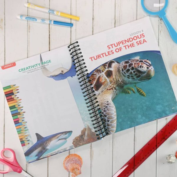 Zoology 2 Notebooking Journal - Image 3