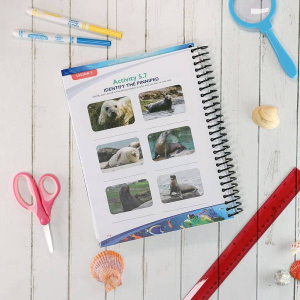 Zoology 2 Notebooking Journal - Image 5