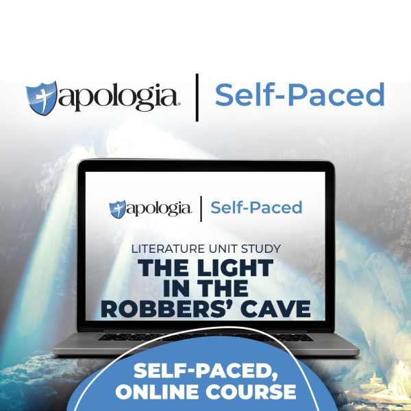 Self-Paced Online: The Light in the Robber's Cave