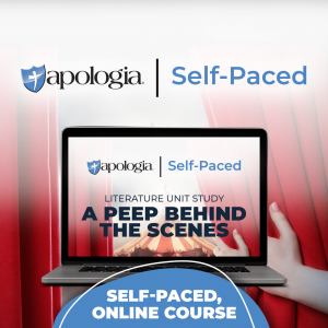 Self-Paced Online: A Peep Behind the Scenes