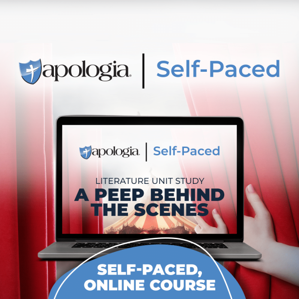 Self-Paced Online: A Peep Behind the Scenes