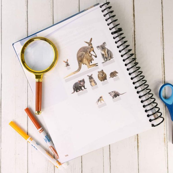 Zoology 3 Notebooking Journal - Image 2
