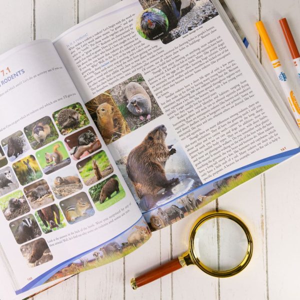 Zoology 3 Build-Your-Own Set - Image 3