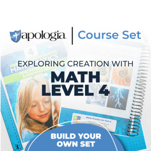 Math Level 4 Build-Your-Own Set