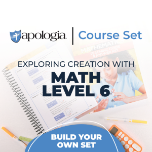 Math Level 6 Build-Your-Own Set