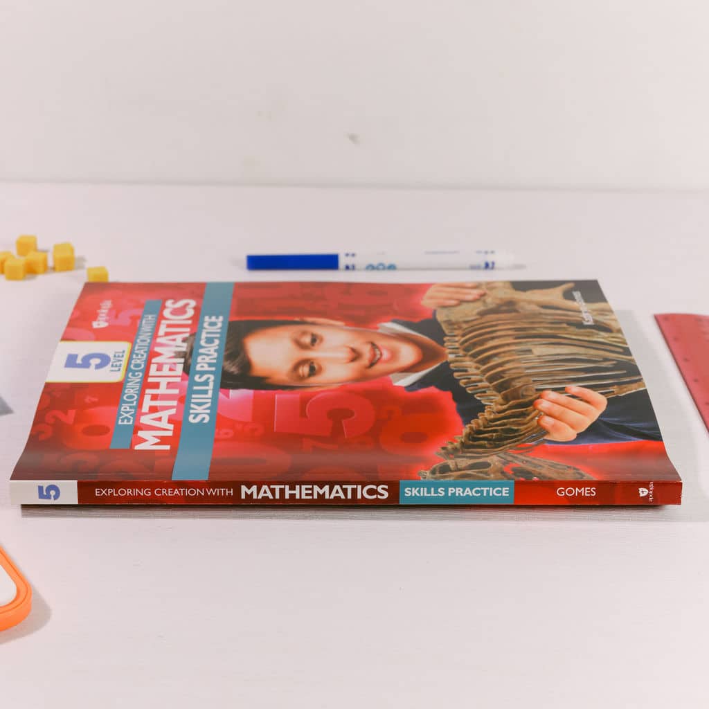 Mathematics Level 5 Skills Practice - Image 5