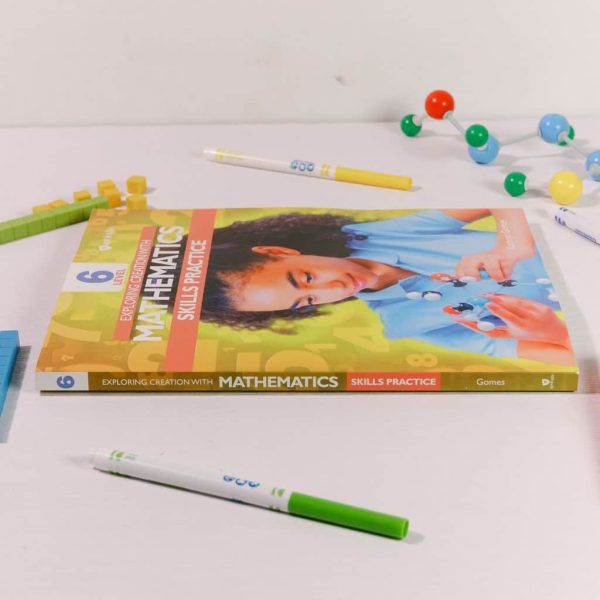Mathematics Level 6 Skills Practice - Image 5