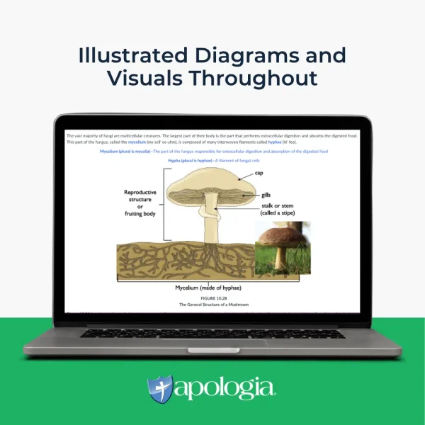 Self-Paced Online: Biology - Image 2