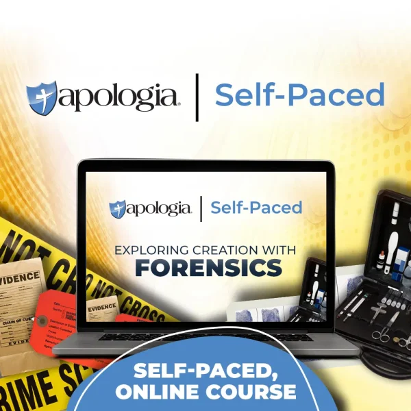 Self-Paced Online: Forensics